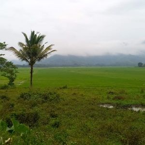 Meet your Posher, Jobelle